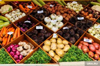 прогнозы экономистов