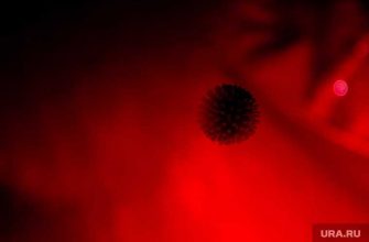 вторая волна коронавируса