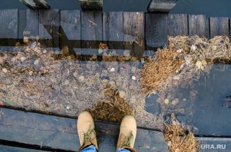 коронавирус вторая волна