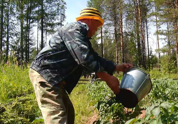 УГМК показала биотехнологии для спасения рек на севере Урала. ВИДЕО