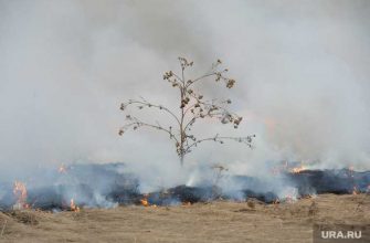 пожар Денежкин камень свердловская область причины расследование видео