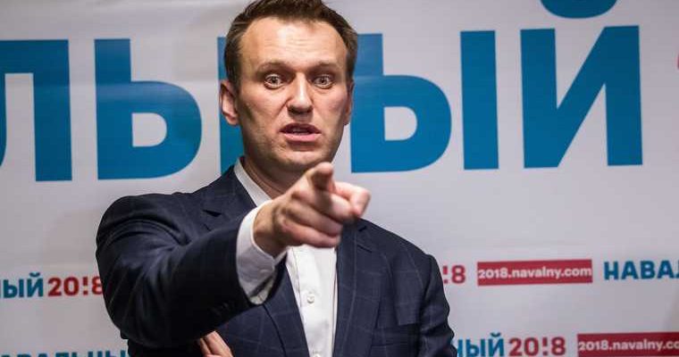 Мясников высказался о жене Навального
