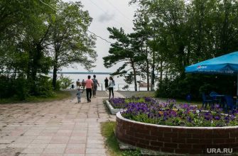 Озеро медвежье Курганская область