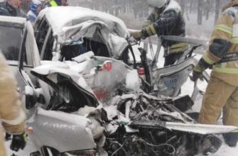 водитель и пассажиры