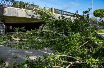 Екатеринбург ураган падение деревьев