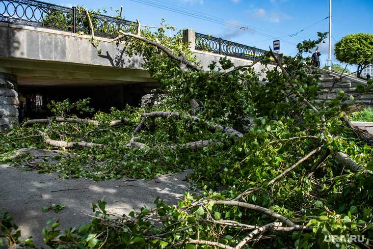 Екатеринбург ураган падение деревьев