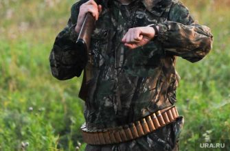 челябинск сезон охоты