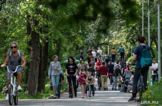 Сергей Жаворонков