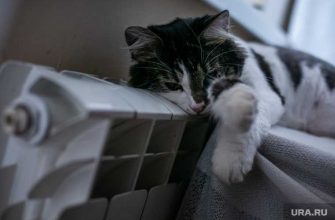 Челябинск отопление тепло включили дома 28 сентября Котова