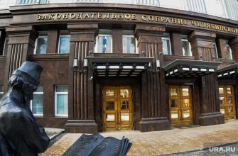 выборы зсо челябинская область