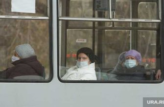 ЕГЭ в 2021 году будут сдавать по новому