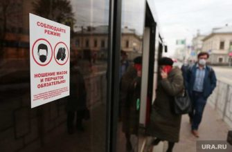 новости перми 19 ноября