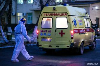 губернаторские премии