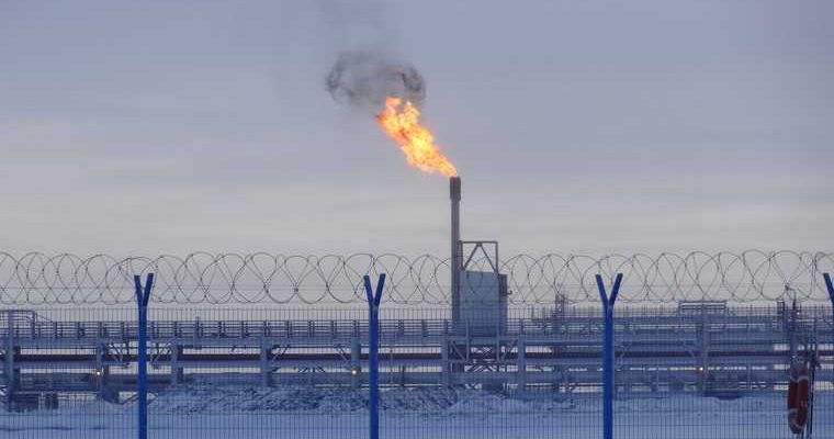 горячая линия прокуратура ЯНАО нарушения прав вахтовиков Газпром