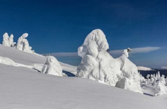 из-под снега спасли