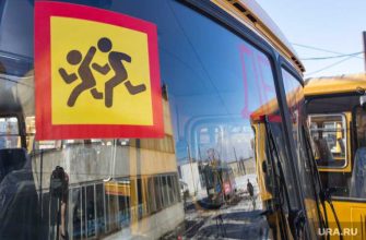 хоккейная команда ДТП