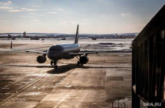 задержали самолет из-за ковид-диссидента