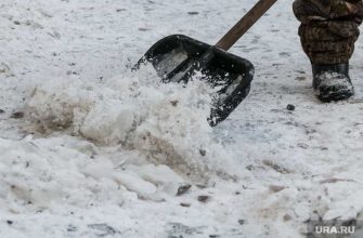 Калужский губернатор вышел убирать снег