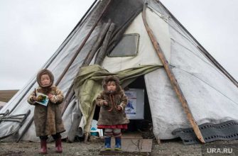 производящие хлеб